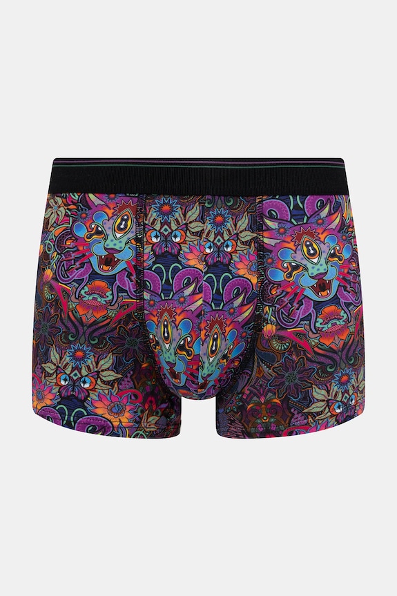 Bokserki bawełniane męskie z elastanem wzorzyste (2-pack) RW25-BIM705 multicolor RW25