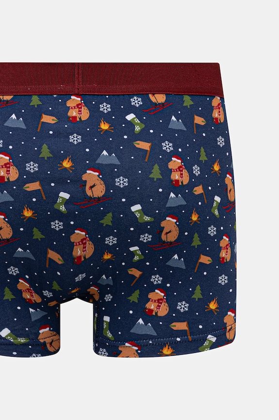 Bokserki bawełniane męskie z elastanem świąteczne (2-pack) multicolor RW25-BIMA04