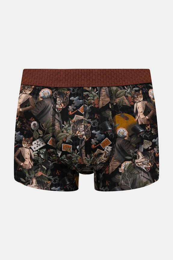 Bavlněné boxerky pánské s elastanem a vzorem (2-pack) RW25-BIMA11 vícebarevná RW25