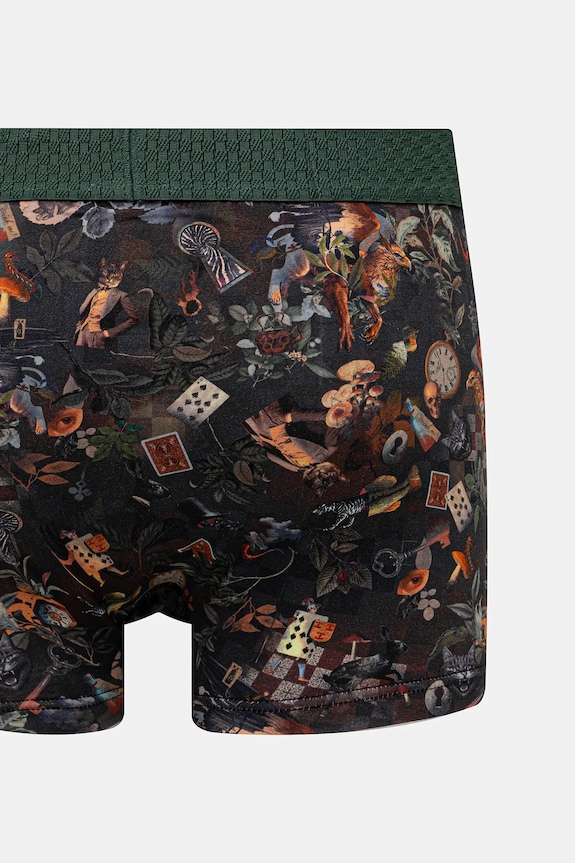 Bavlněné boxerky pánské s elastanem a vzorem (2-pack) RW25-BIMA11 vícebarevná