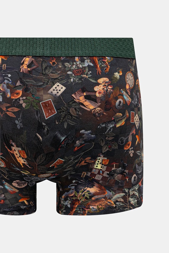 Bavlněné boxerky pánské s elastanem a vzorem (2-pack) vícebarevná RW25-BIMA13