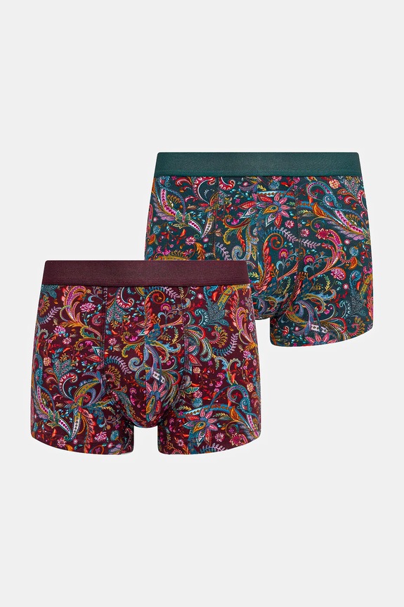Bokserki bawełniane męskie z elastanem wzorzyste (2-pack) dzianina multicolor RW25-BIMB01