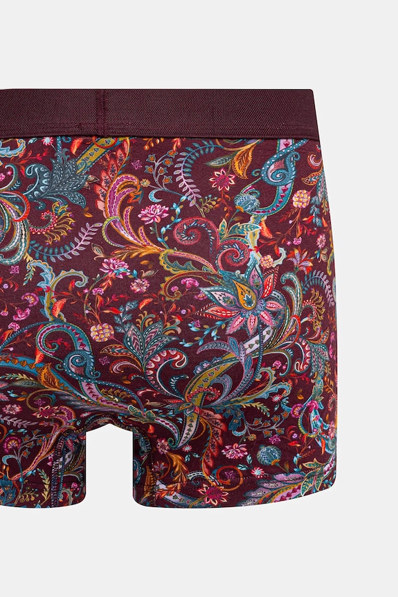 Bokserki bawełniane męskie z elastanem wzorzyste (2-pack) multicolor RW25-BIMB01
