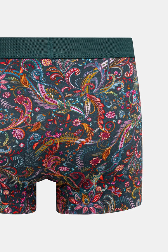 Bokserki bawełniane męskie z elastanem wzorzyste (2-pack) RW25-BIMB01 multicolor
