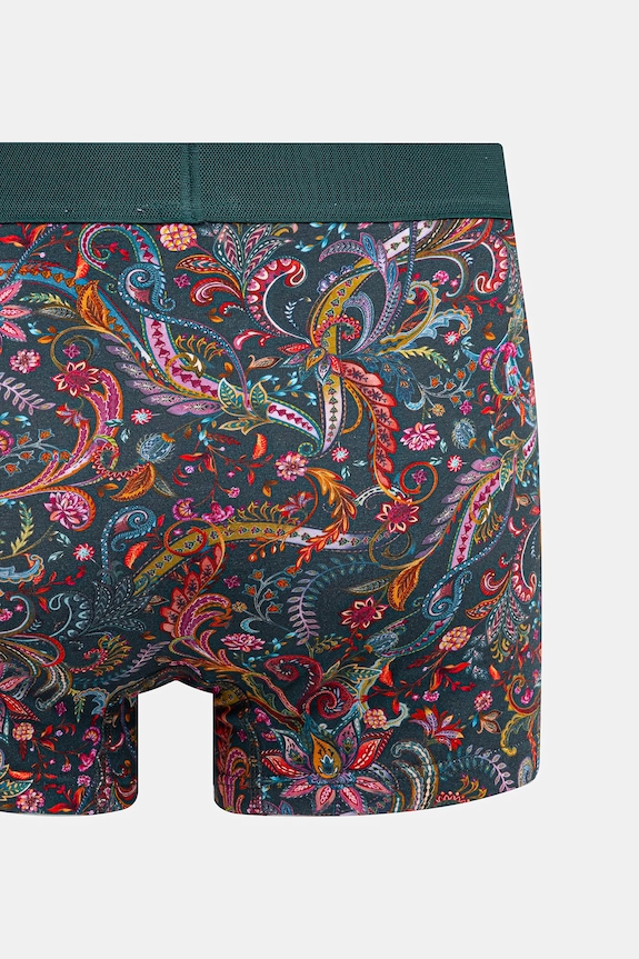 Bokserki bawełniane męskie z elastanem wzorzyste (2-pack) RW25-BIMB01 multicolor