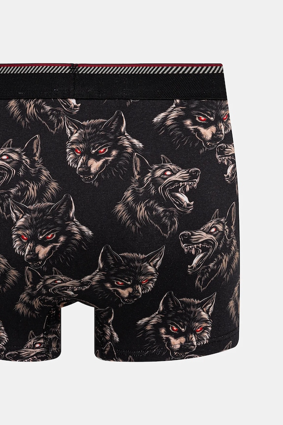 Bokserki bawełniane męskie z elastanem wzorzyste (2-pack) multicolor RW25-BIMB03