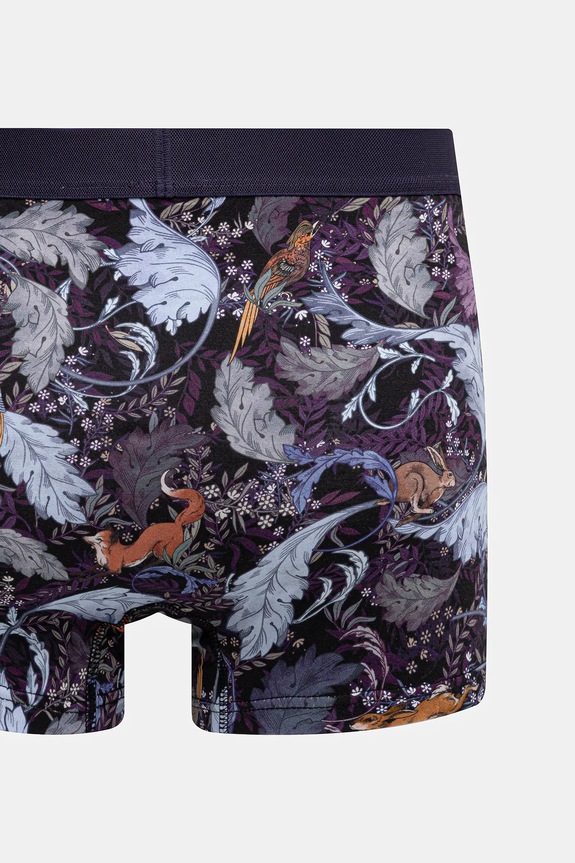 Bokserki bawełniane męskie z elastanem wzorzyste (2-pack) multicolor RW25-BIMB04