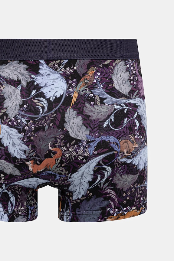 Bokserki bawełniane męskie z elastanem wzorzyste (2-pack) multicolor RW25-BIMB04