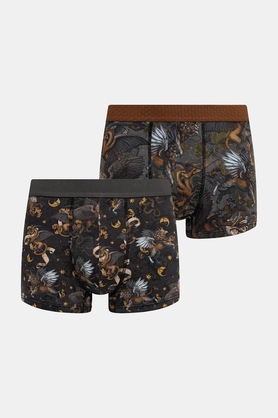 Bokserki bawełniane męskie z elastanem wzorzyste (2-pack) dzianina multicolor RW25-BIMB08