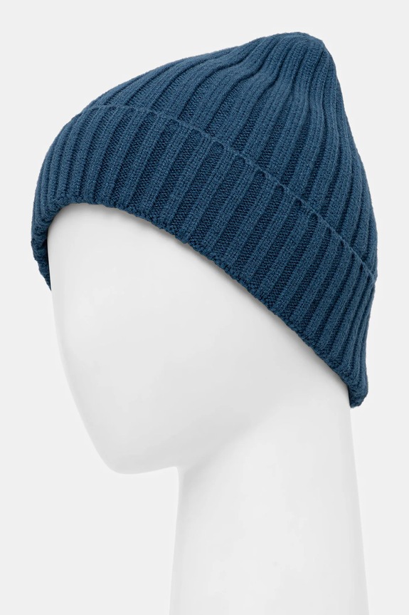 Akcesoria Czapka męska beanie prążkowana RW25-CDM070 niebieski