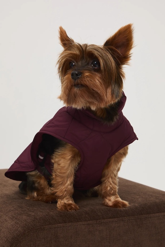 Jakna za kužka Medicine RW25-KUU801 bordo