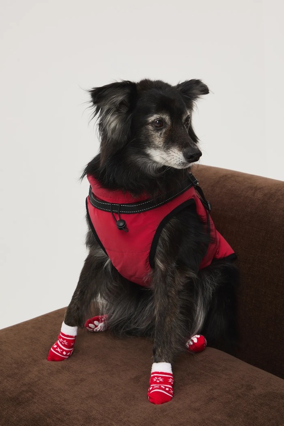 Kurtka dla pupila czerwony RW25-KUU802