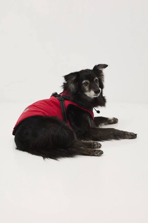 Akcesoria Kurtka dla pupila RW25-KUU802 czerwony
