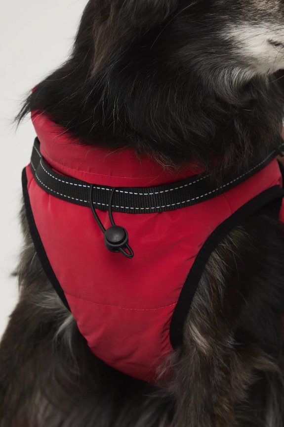 Kurtka dla pupila RW25-KUU802 czerwony