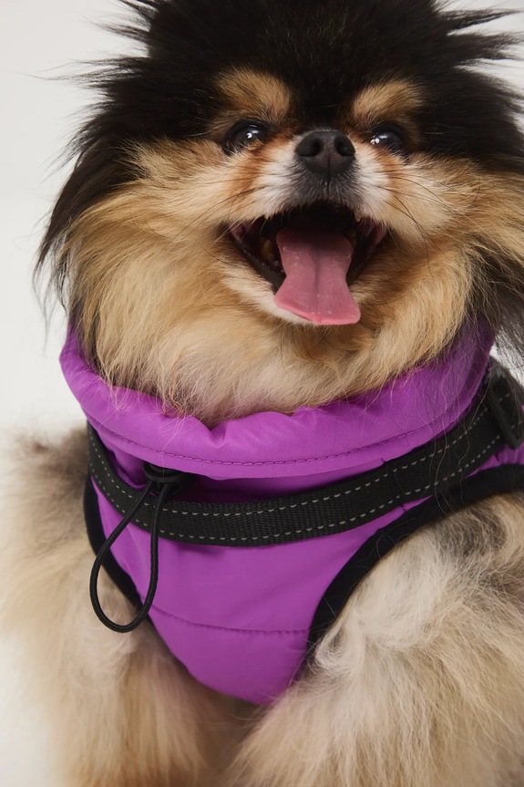 Kurtka dla pupila fioletowy RW25-KUU802