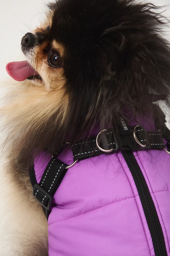 Kurtka dla pupila RW25-KUU802 fioletowy