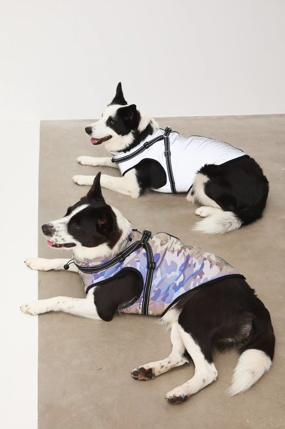 Akcesoria Kurtka dla pupila RW25-KUU802 zielony