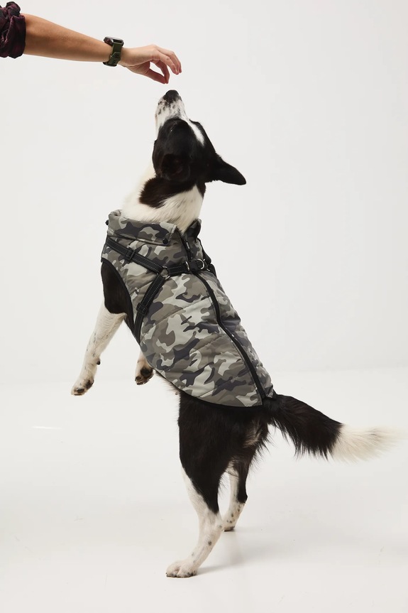 Kurtka dla pupila RW25-KUU802 zielony