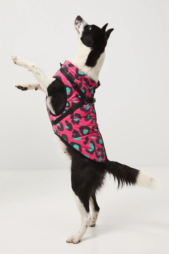 Kurtka dla pupila multicolor RW25-KUU802