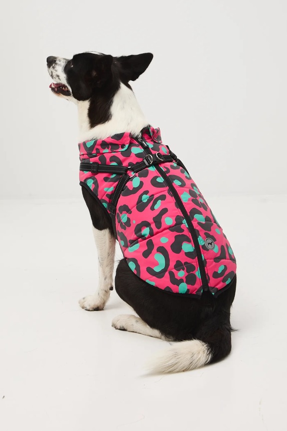 Kurtka dla pupila RW25-KUU802 multicolor RW25