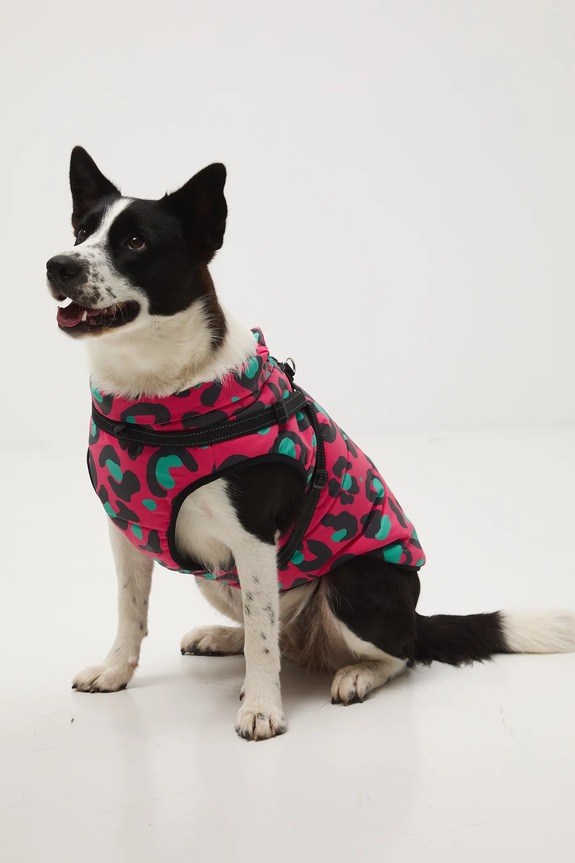 Akcesoria Kurtka dla pupila RW25-KUU802 multicolor