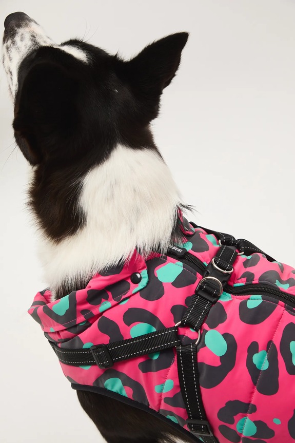 Kurtka dla pupila multicolor RW25-KUU802