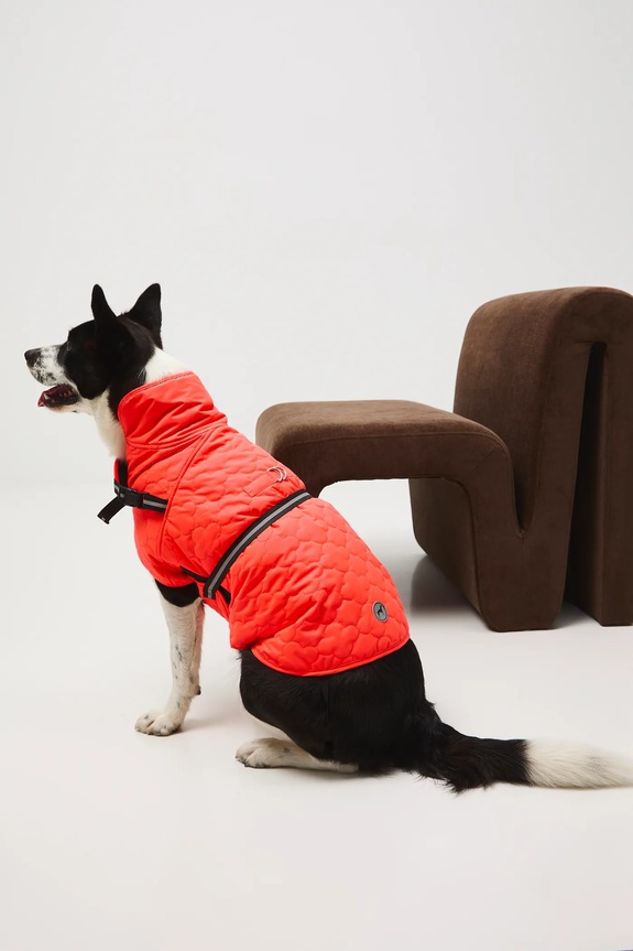 Jakna za kužka Medicine oranžna RW25-KUU902