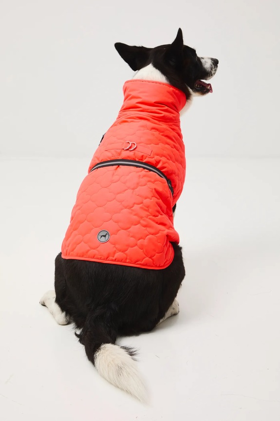 Jakna za kužka Medicine RW25-KUU902 oranžna RW25