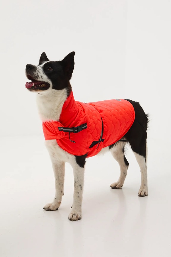 Življenjski slog Jakna za kužka Medicine RW25-KUU902 oranžna