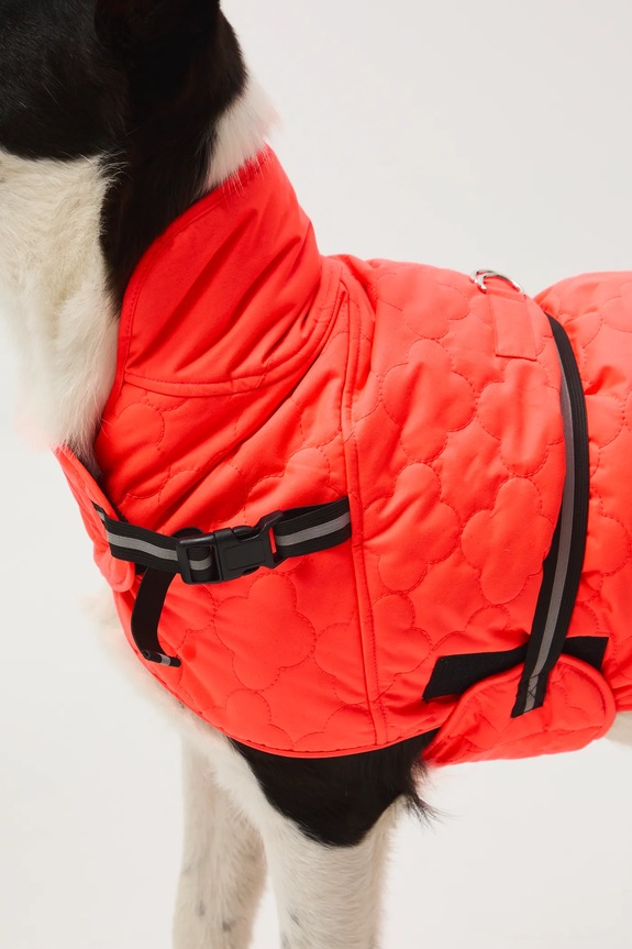 Jakna za kužka Medicine RW25-KUU902 oranžna