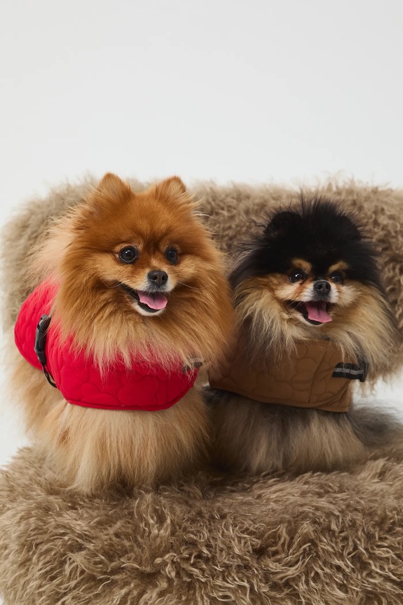 Jakna za kužka Medicine rdeča RW25-KUU902