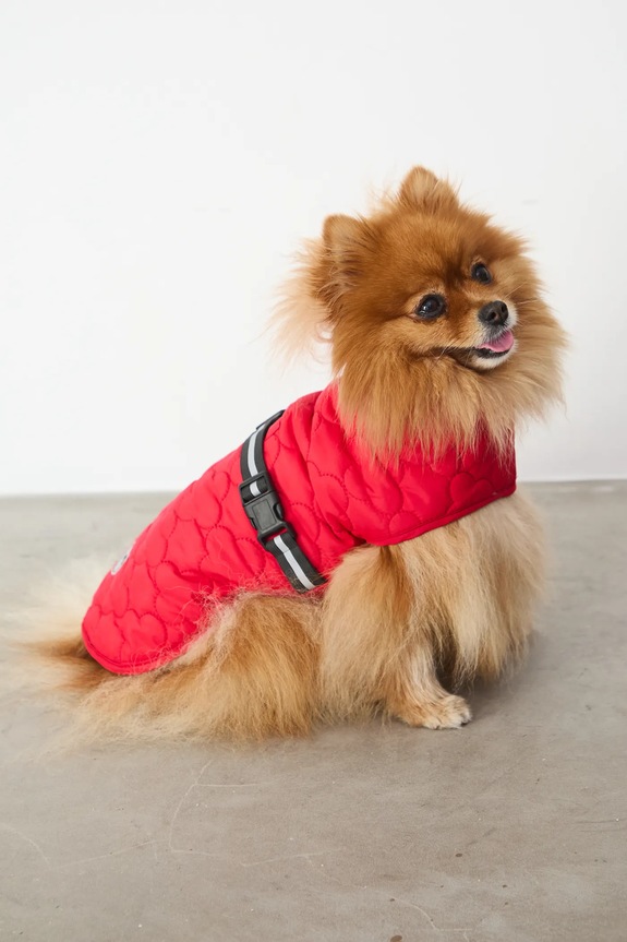 Življenjski slog Jakna za kužka Medicine RW25-KUU902 rdeča