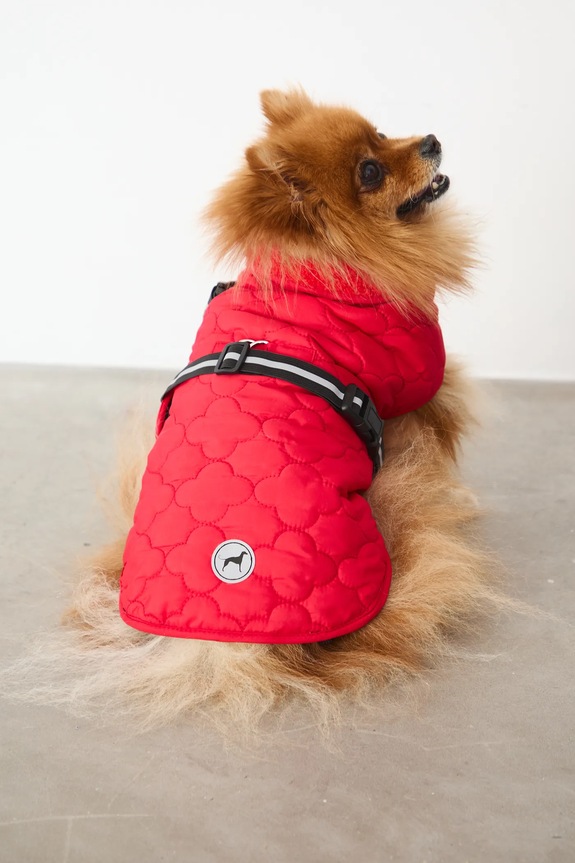 Jakna za kužka Medicine rdeča RW25-KUU902