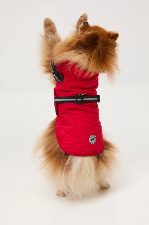 Jakna za kužka Medicine RW25-KUU902 rdeča