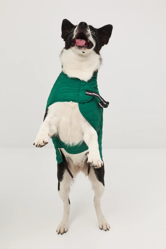 Jakna za kužka Medicine zelena RW25-KUU902