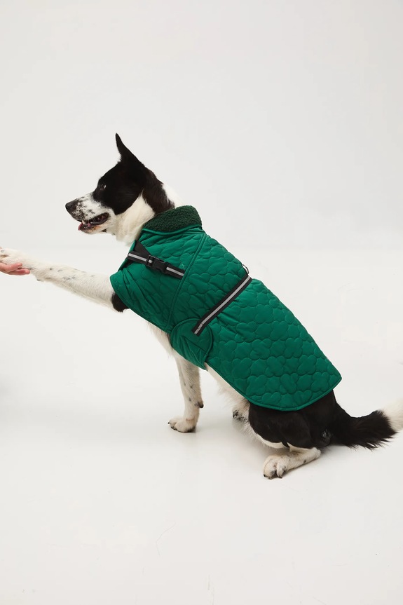 Jakna za kužka Medicine RW25-KUU902 zelena RW25