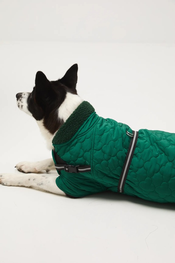 Življenjski slog Jakna za kužka Medicine RW25-KUU902 zelena