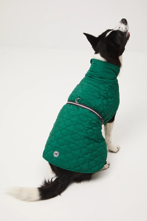 Jakna za kužka Medicine zelena RW25-KUU902