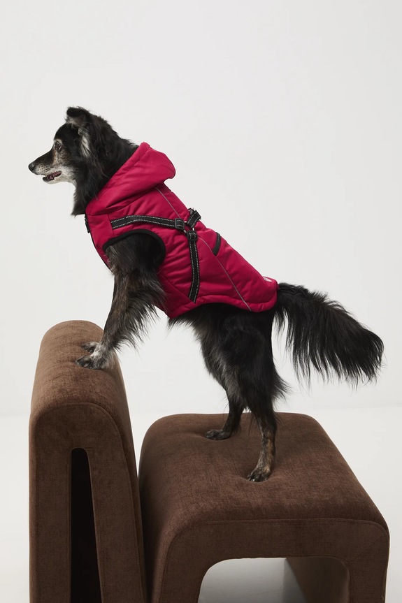 Kurtka dla pupila bordowy RW25-KUU904