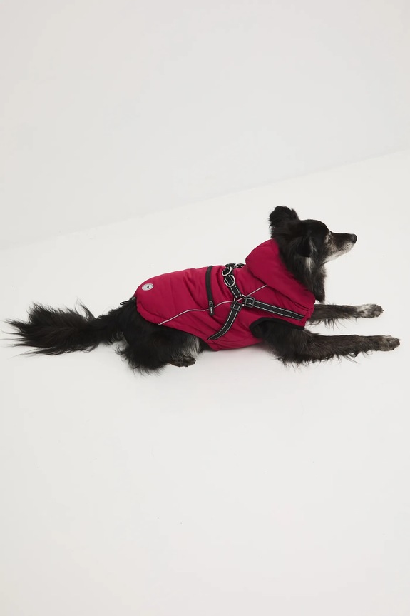 Kurtka dla pupila RW25-KUU904 bordowy RW25