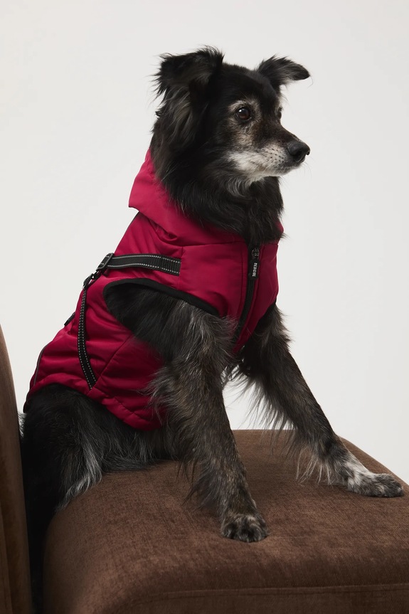 Akcesoria Kurtka dla pupila RW25-KUU904 bordowy