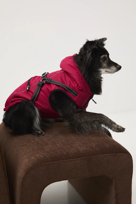 Kurtka dla pupila bordowy RW25-KUU904