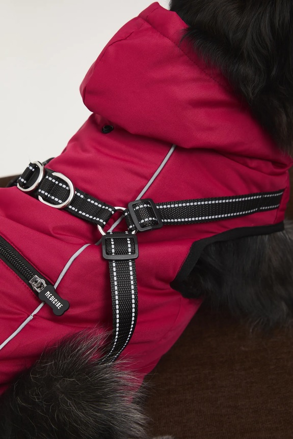 Kurtka dla pupila RW25-KUU904 bordowy