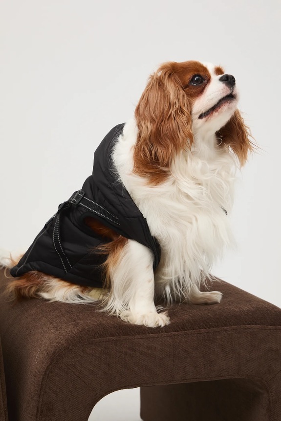 Akcesoria Kurtka dla pupila RW25-KUU904 czarny