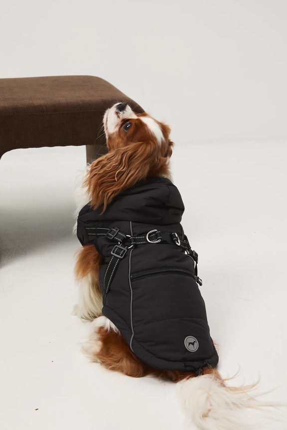 Kurtka dla pupila RW25-KUU904 czarny