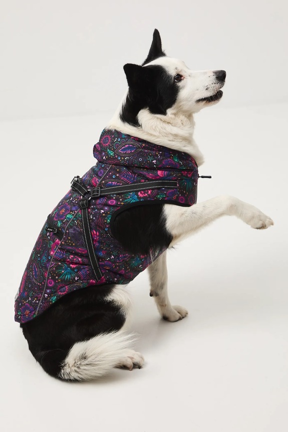 Kurtka dla pupila RW25-KUU904 multicolor RW25