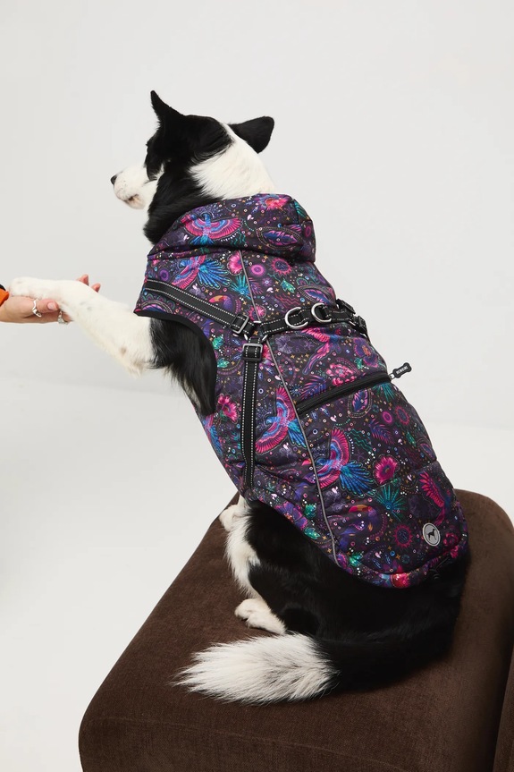 Kurtka dla pupila multicolor RW25-KUU904