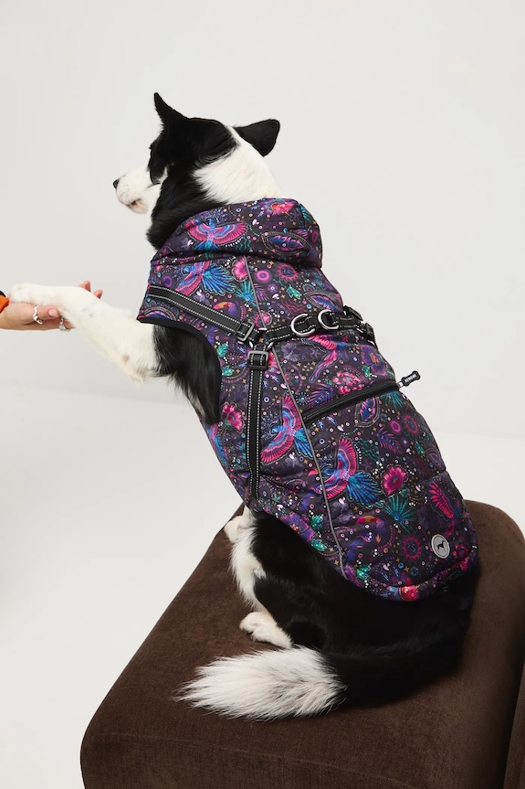 Kurtka dla pupila multicolor RW25-KUU904