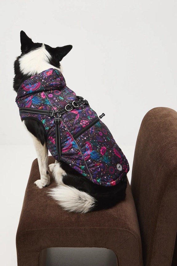 Kurtka dla pupila RW25-KUU904 multicolor