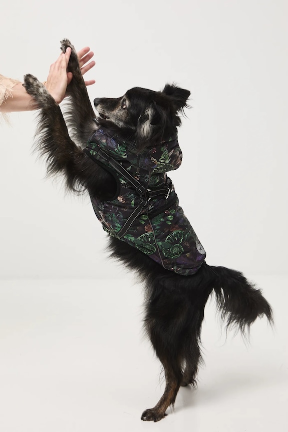 Kurtka dla pupila RW25-KUU904 multicolor RW25